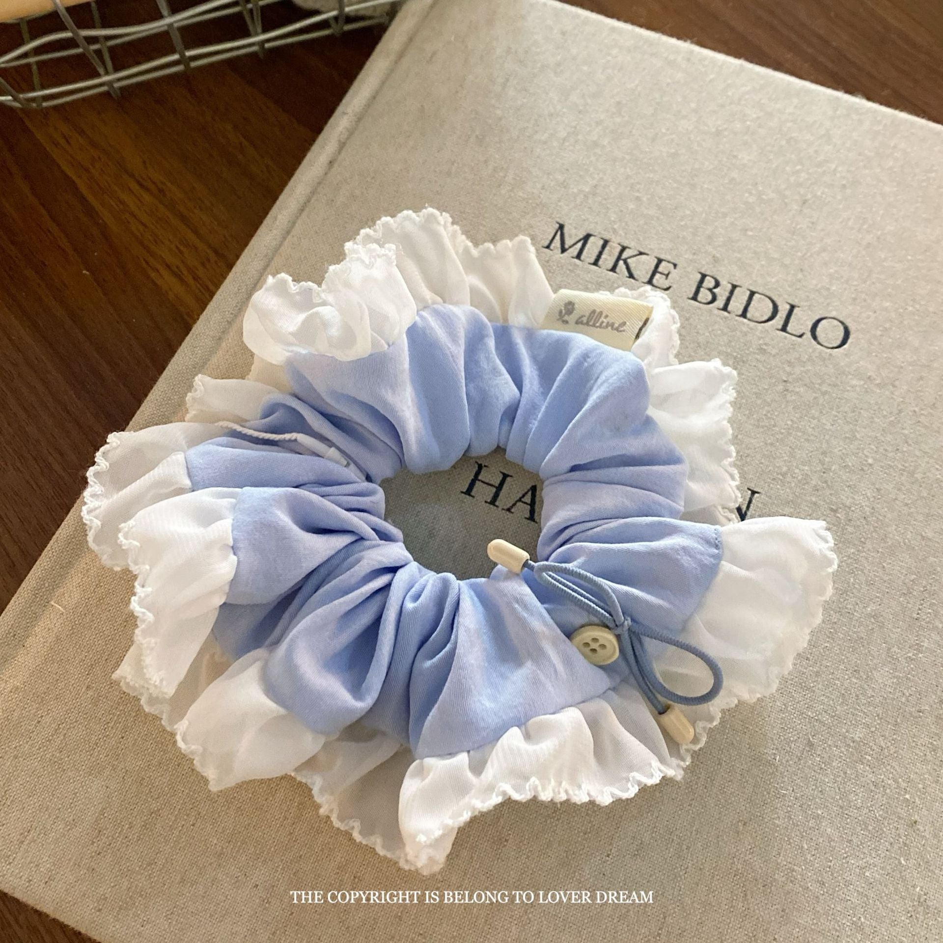 Assorted Blue Hair Accessories Set