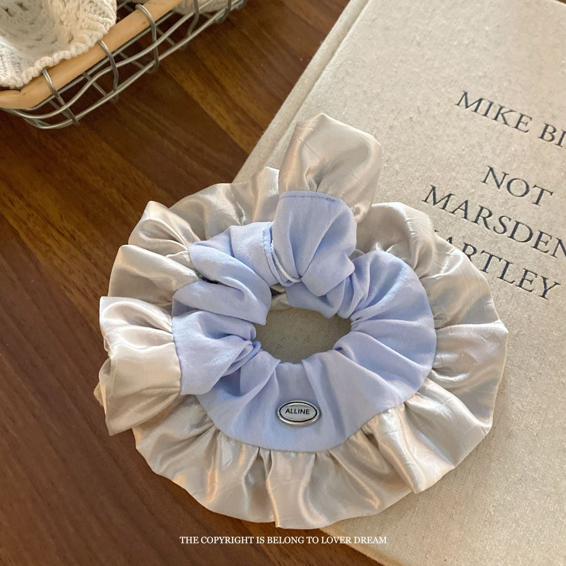 Assorted Blue Hair Accessories Set