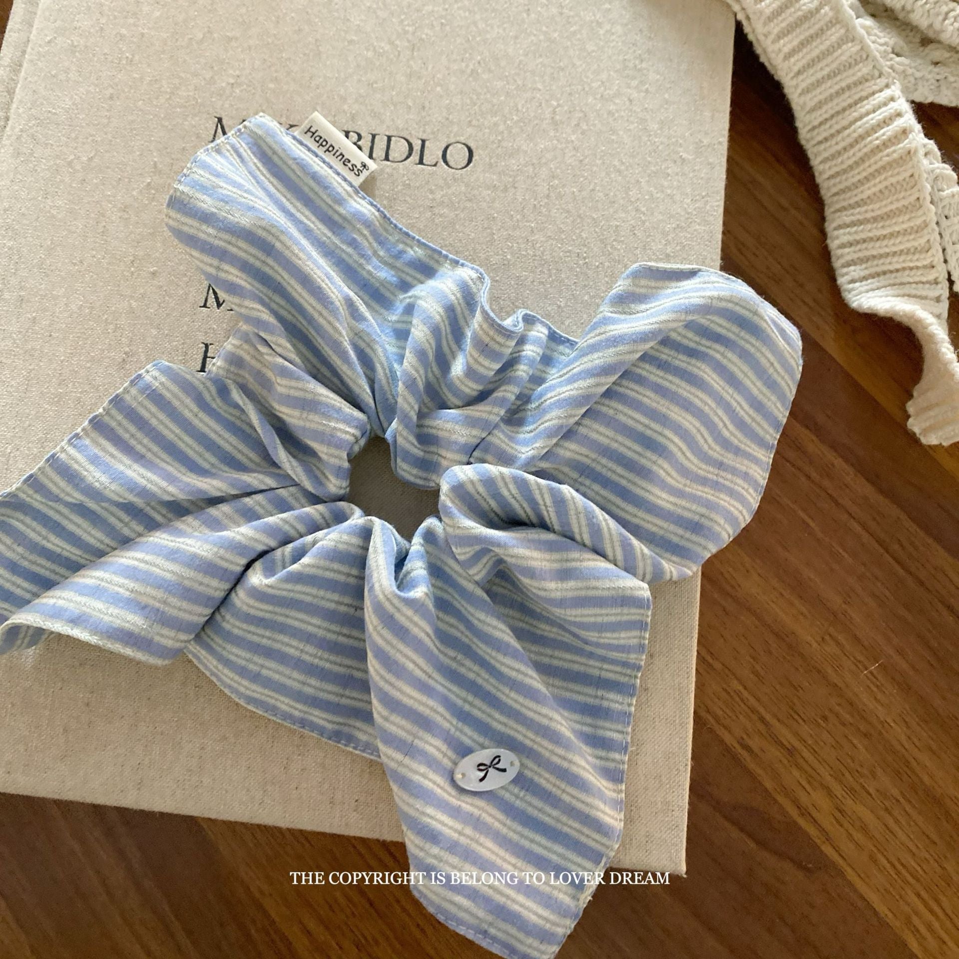 Assorted Blue Hair Accessories Set