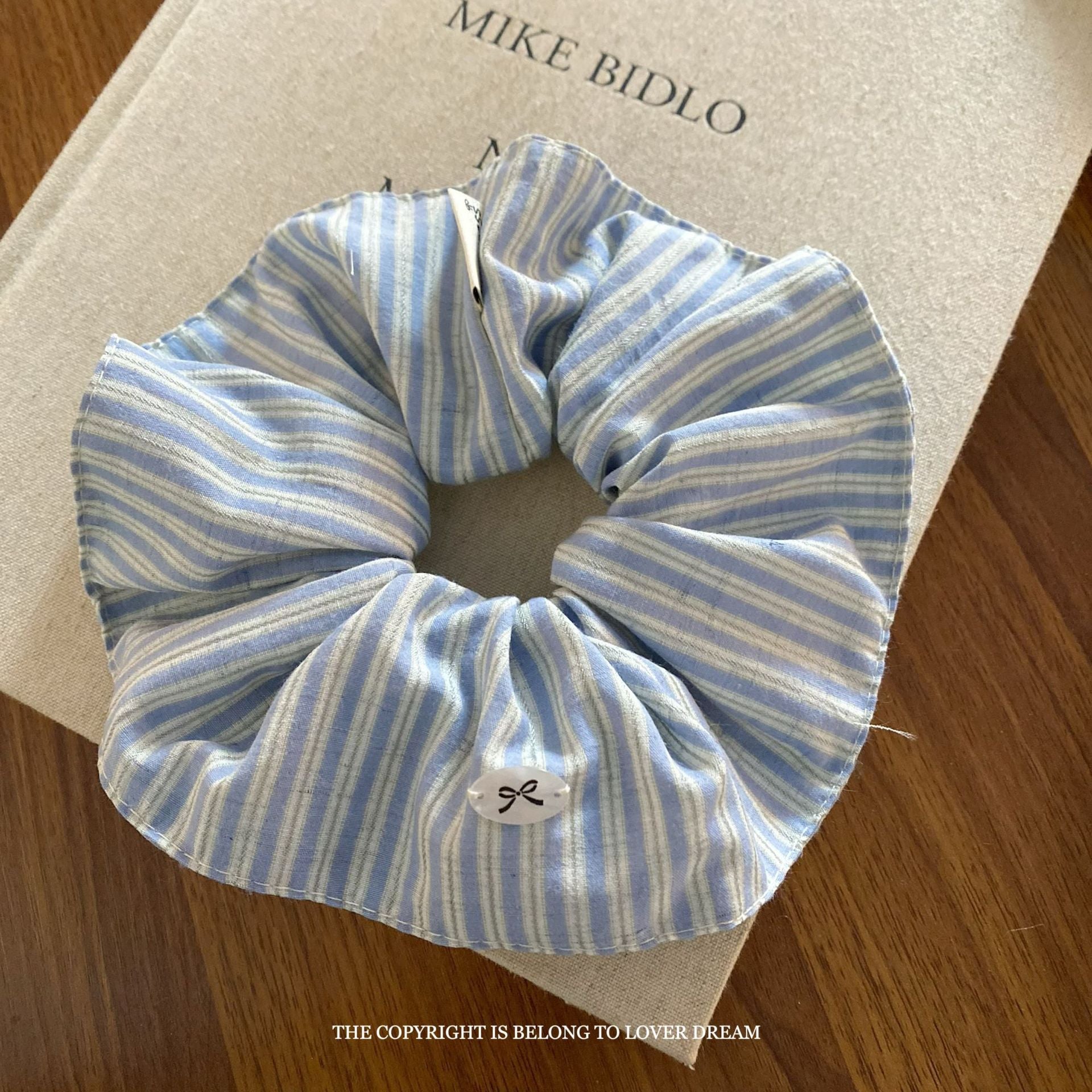 Assorted Blue Hair Accessories Set