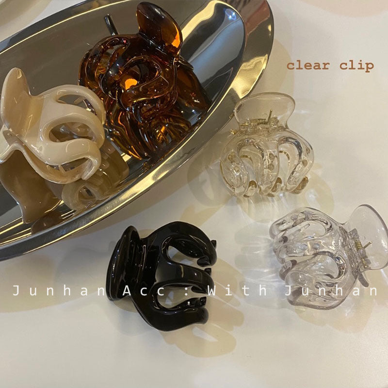 Earth Tone Claw Clip